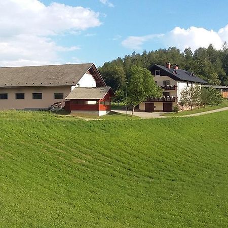 Apartment Vrtacnik Stefanja Gora Exterior foto